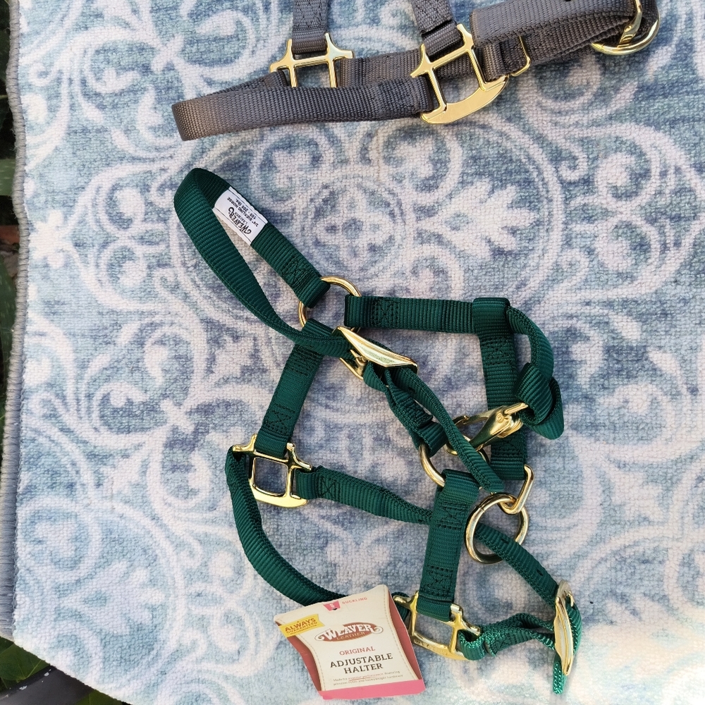 GreenGrey black Purple Adjustable Halter with Gold Accents